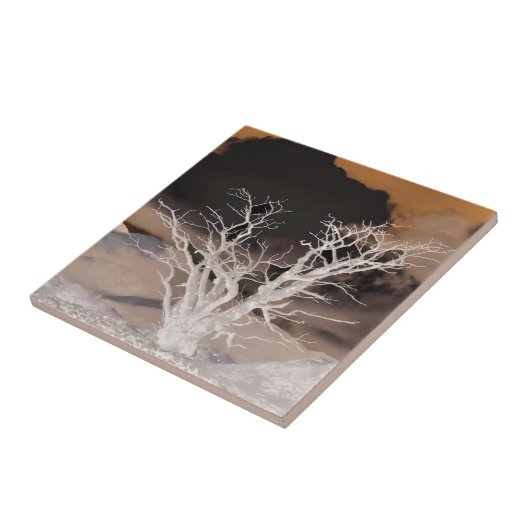 MOUNTAIN WINTER TEGELTJE (Zijkant)