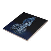 mountainbike Llandegla mtbmx Tegeltje (Zijkant)