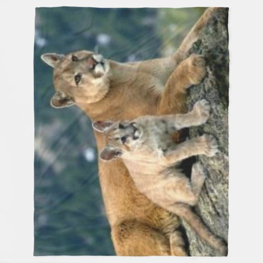 MOUNTAINE LION EN CUB FLEECE DEKEN (Voorkant)