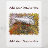 MOUNTAINEN FLYER (Voorkant)