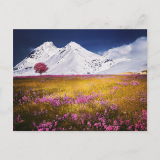 MOUNTAINS FIELD FLOWERS LANDSCAPE POSTCROSSING BRIEFKAART