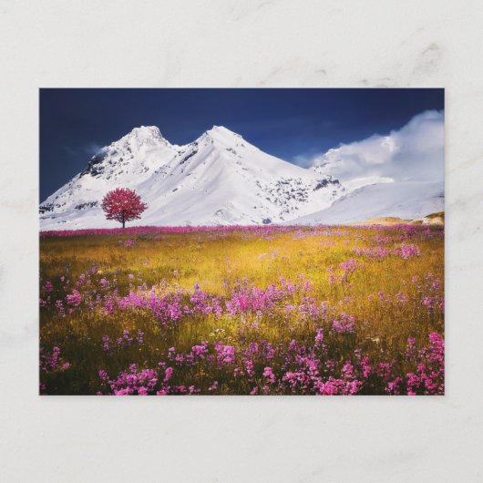 MOUNTAINS FIELD FLOWERS LANDSCAPE POSTCROSSING BRIEFKAART (Voorkant)