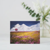 MOUNTAINS FIELD FLOWERS LANDSCAPE POSTCROSSING BRIEFKAART (Staand voorkant)