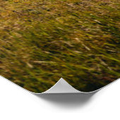 Mountains Holy Cross Wilderness, Colorado Poster (Hoek)