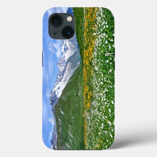 Mountains | Swiss Alps Valley Spring Case-Mate iPhone Case (Achterkant)