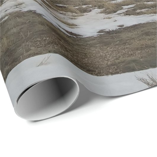 MountainScapes Cadeaupapier (Rol Hoek)