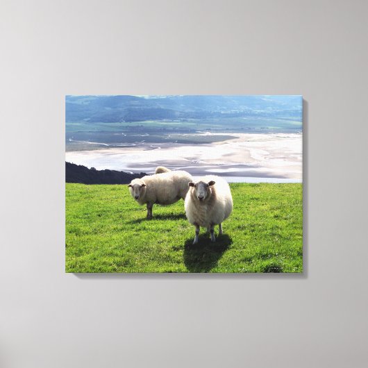 MOUNTAIRE SCHAPEN CANVAS AFDRUK (Voorkant)