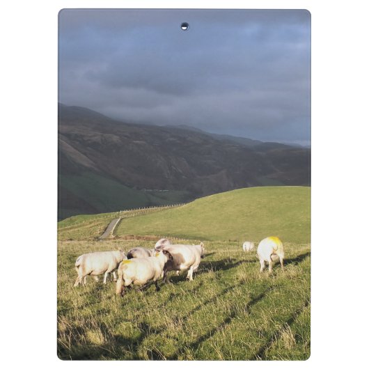 MOUNTAIRE SCHAPEN KLEMBORD (Achterkant)