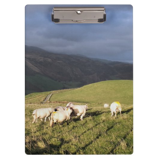 MOUNTAIRE SCHAPEN KLEMBORD (Voorkant)