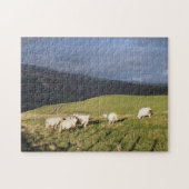 MOUNTAIRE SCHAPEN LEGPUZZEL (Horizontaal)