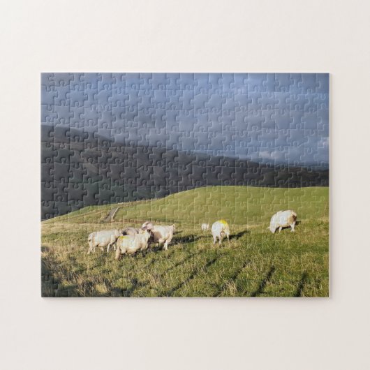 MOUNTAIRE SCHAPEN LEGPUZZEL (Horizontaal)