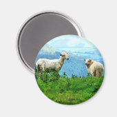 MOUNTAIRE SCHAPEN MAGNEET (Voorkant / Achterkant)