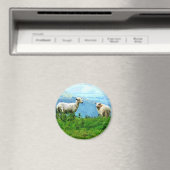 MOUNTAIRE SCHAPEN MAGNEET (Insitu (Vaatwasser))