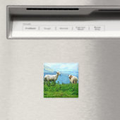 MOUNTAIRE SCHAPEN MAGNEET (Insitu (Vaatwasser))