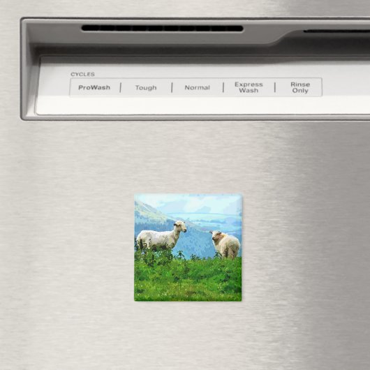 MOUNTAIRE SCHAPEN MAGNEET (Insitu (Vaatwasser))