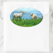 MOUNTAIRE SCHAPEN OVALE STICKER (Tas)