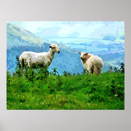 MOUNTAIRE SCHAPEN POSTER (Voorkant)