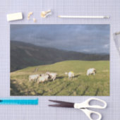 MOUNTAIRE SCHAPEN TISSUEPAPIER (Craft)