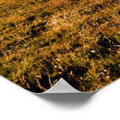 MOUNTAIRE UITZICHTEN POSTER (Hoek)