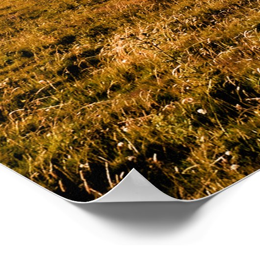 MOUNTAIRE UITZICHTEN POSTER (Hoek)