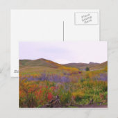 Mountiaanse kleuren briefkaart (Voorkant / Achterkant)