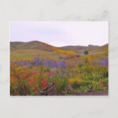 Mountiaanse kleuren briefkaart (Voorkant)