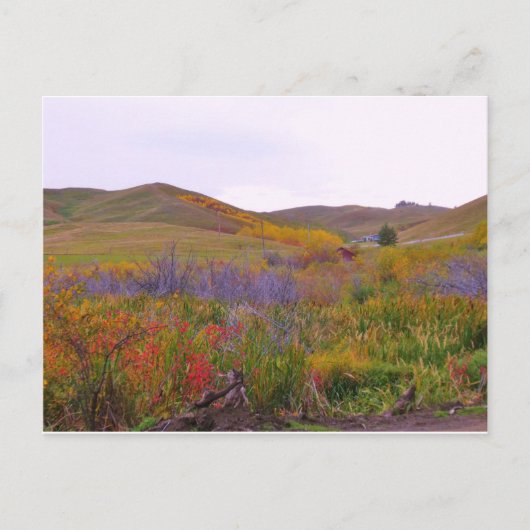 Mountiaanse kleuren briefkaart (Voorkant)