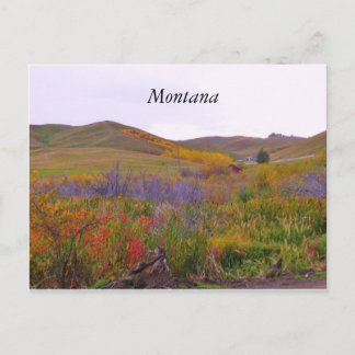 Mountiaanse kleuren, Montana Briefkaart