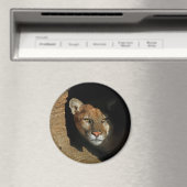 Mountian Leeuw Verbergen in log 3" magneet (Insitu (Vaatwasser))