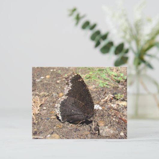 Mourning Cloak Butterfly ~ briefkaart (Staand voorkant)