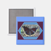 Mourning Cloak Butterfly Magnet (Voorkant / Achterkant)
