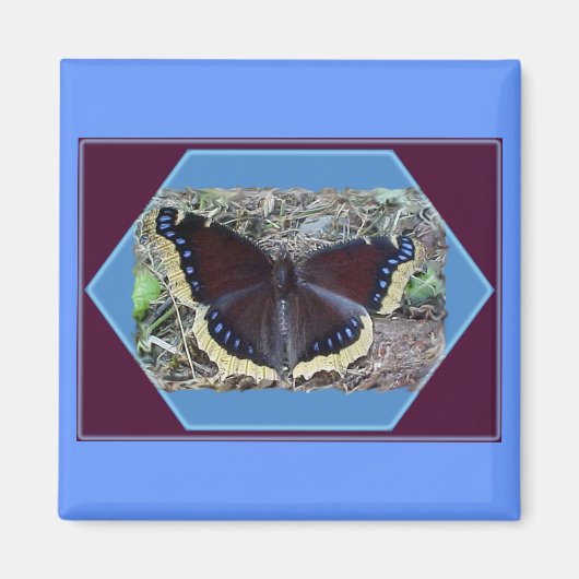 Mourning Cloak Butterfly Magnet (Voorkant)
