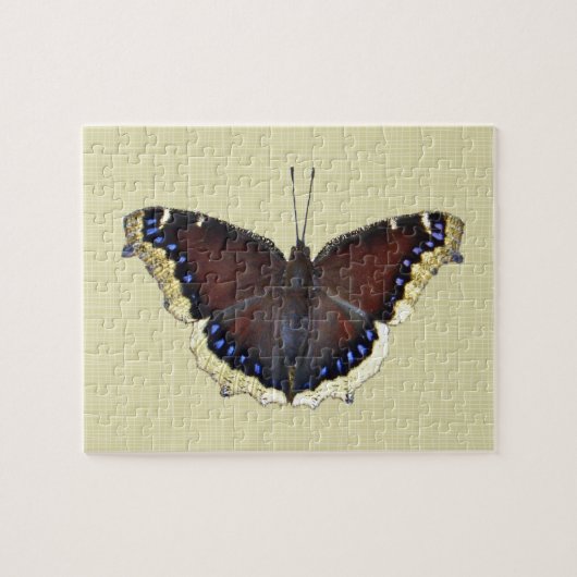 Mourning Cloak Butterfly - Nymphalis antiopa Legpuzzel (Horizontaal)