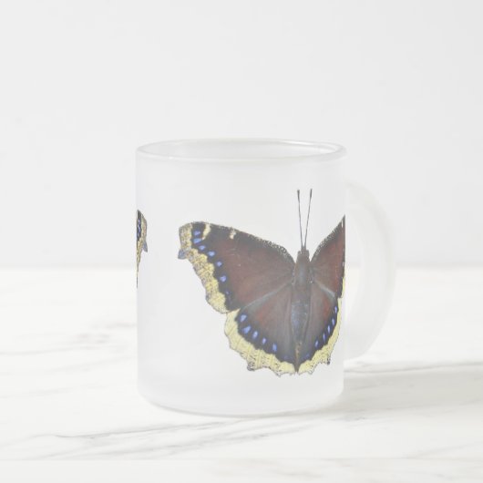 Mourning Cloak Butterfly - Nymphalis antiopa Matglas Koffiemok