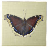 Mourning Cloak Butterfly - Nymphalis antiopa Tegeltje (Voorkant)