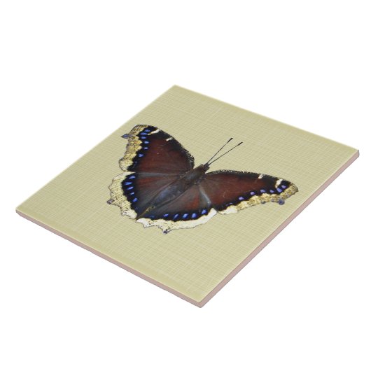 Mourning Cloak Butterfly - Nymphalis antiopa Tegeltje (Zijkant)