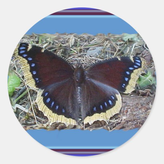 Mourning Cloak Butterfly-stickers Ronde Sticker (Voorkant)