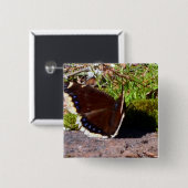 Mourning Cloak Butterfly Upclose Vierkante Button 5,1 Cm (Voorkant /achterkant)