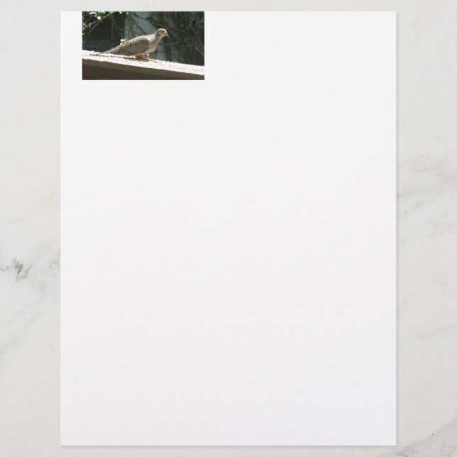 Mourning Dove (Voorkant)