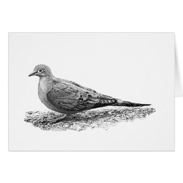 Mourning Dove (Voorkant Horizontaal)