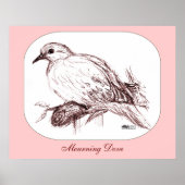 Mourning Dove Baby Poster (Voorkant)