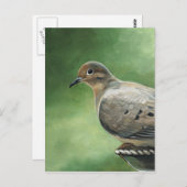 Mourning Dove Bird Art Briefkaart (Voorkant / Achterkant)