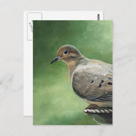 Mourning Dove Bird Art Briefkaart (Voorkant / Achterkant)