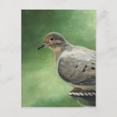 Mourning Dove Bird Art Briefkaart (Voorkant)