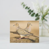 Mourning Dove Briefkaart (Staand voorkant)