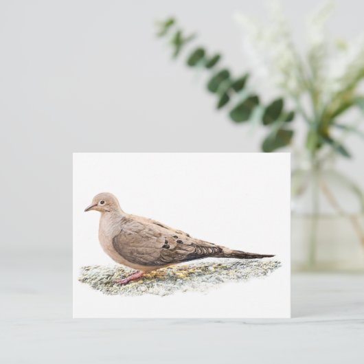 Mourning Dove Briefkaart (Staand voorkant)
