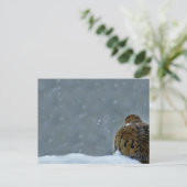 Mourning Dove Briefkaart (Staand voorkant)
