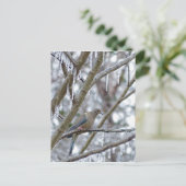 Mourning Dove Briefkaart (Staand voorkant)