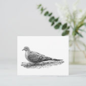Mourning Dove Briefkaart (Staand voorkant)