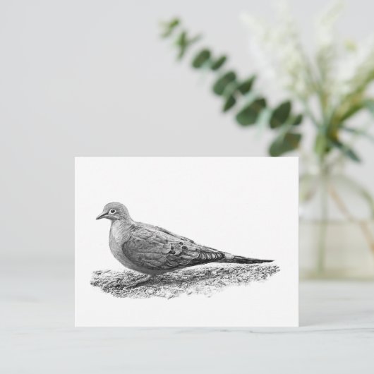 Mourning Dove Briefkaart (Staand voorkant)